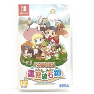 Nintendo Switch 牧場物語 重聚礦石鎮 中文版
