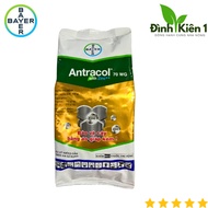 ANTRACOL CỐM 70WG gói 500g CHÍNH HÃNG BAYER - Bảo vệ cây trồng bằng áo giáp kẽm dày lá xanh lá.