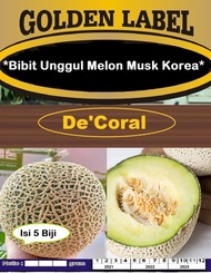 Bibit Unggul Melon Musk Korea|Benih Melon Musk Korea|Bibit Melon Korea