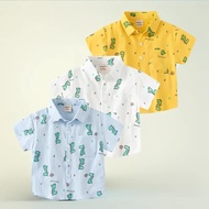 WAPYPY Short Sleeve Cartoon Shirt for Boys HSY4392