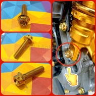 ♞,♘,♙Heng Gold Rear Shock Bolt 8mm for Yamaha Mio M3, SoultY, Sporty, Mio Soul i, Gear, Nouvo, &amp; Gr