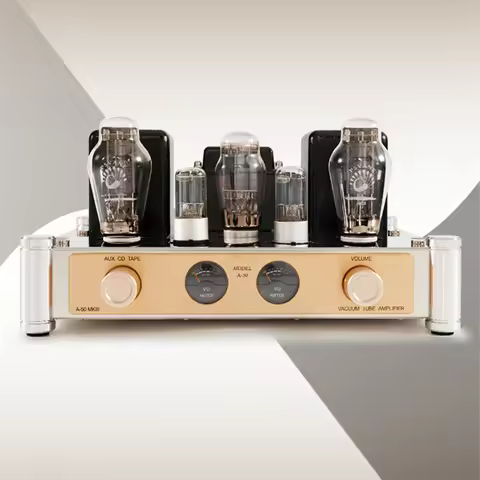 A50 Electronic Tube Single End Fever HIFI Speaker 220-240V Noble 300B Power Tube 6N8 Gallbladder Mac