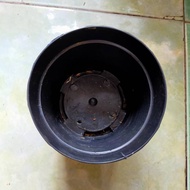 Plain Flower Pot 17 cm