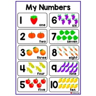 BIG A4 Wall Chart Educational Laminated Alphabet, Shapes, Animals boy girl learning help study