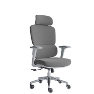 เก้าอี้เพื่อสุขภาพ เฟอร์ราเดค Harmony