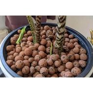 Leca clay balls / Hydroton / For hydroponics - big size (11-16mm)