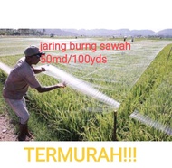 Jaring Burung sawah termurah 50md/100yds Jaring padi jaring burung emprit jaring burung pipit jaring burung kecil