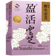 Vita Green維特健靈純野生盈活雲芝