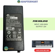 Roland RK-100 12v 4a guitar power supply -