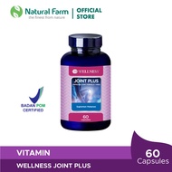 Wellness Joint Plus - 60 Capsules