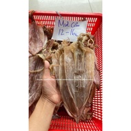 100% Dried Squid Vip2 (12-16c/kg) Newly arrived squid