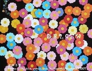 ※上將之藝※紙雕作品 重瓣小花 教室佈置/ 佈告欄/ 海報/ 情境佈置/卡片/小書/繪本