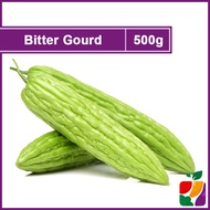 Bitter Gourd / Peria Besar / 苦瓜 (500g) Fresh Vegetables Delivery