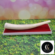 pipa once tulang iga duyung model bulat bengkok original ZI 69