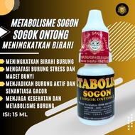 Metabolis Sogon Metabolisme Burung Sogon Sogok Ontong Meningkatkan