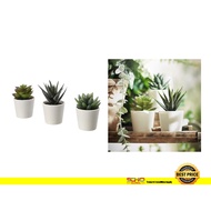 IKEA-FEJKA Artificial potted plant with pot  6 cm 3 pieces
