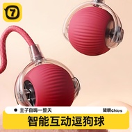 Automatic Dog Walking Ball Dog Toy Ball Durable Chew Self-Entertainment Pet Dog Teasing Artifact Dog