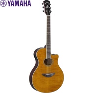 Yamaha APX600FM Acoustic Guitar with Pickup Amber