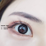 Sakura gray  - Bigeye/คอนแทคเลนส์ตาโต แบ๊ว