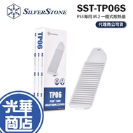 SilverStone TP06 PS5 Dedicated M.2 SSD Integrated Heatsink Cover SST-TP06S Guanghua Mall