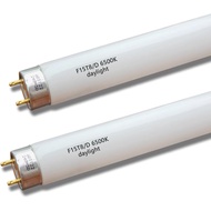 F15T8-D Mentol Pendarfluor 15W Siang,18'' F15T8/DL 6500K T8 Lampu Prapanas Linear, Tapak dwi-pin G13