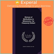 History of Methodism in Minnesota / By Chauncey Hobart by Chauncey Hobart (hardcover)