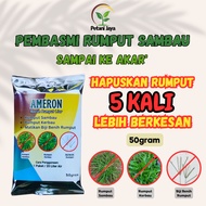 Ameron 50g Racun Rumput Paling Berkesan Sambau Degil Darat Cepat Mati Tahan Lama Ameron Racun Rumput