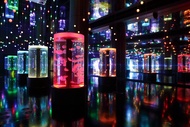 玩樂369夢幻東京遊｜預購最高省$6000｜哈利波特魔法世界.品川水族世界.橫濱纜車.千客萬來.和牛螃蟹美食五日
