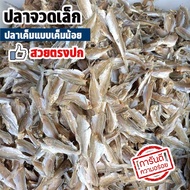 ปลาจวดเล็ก ปลาจวดตัดหัว ปลาเค็มชนิดไม่เค็มมาก 300กรัม ทอดกรอบอร่อย ปลาจวด ปลาจวดเค็ม ปลาจวดแดดเดียว 