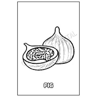 [PDF PRINTABLE] Fruit - Fig | Coloring Page