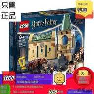 現貨速發正品LEGO樂高哈利波特 76387霍格沃茨遭遇路威玩具禮物