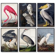 Vintage Bird Canvas Print Audubon Bird Posters Pink Flamingo Snowy Owl Pelican Blue Heron White Egre