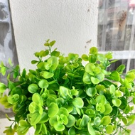 Young green fake vine branches (apple tree branches) decorate the home, super beautiful decor