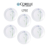 CORELLE Dinner Plate 26cm 6pcs. Shadow Iris