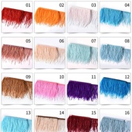 (10cm) Ostrich Feathers Retail Ostrich Feather