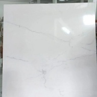 Granit lantai 60x60 putih  motif harga perdus habitat motif 3