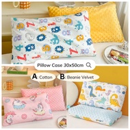 30x50 cm Cotton Pillow Case Only Dual-sided Beanie Velvet 30x50cm