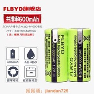 （滿350出貨）適用飛科去毛球器FR5201 FR5209 FR5006剃毛器充電電池2/3AA 2.4V