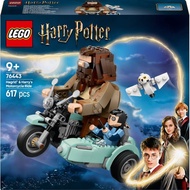 LEGO 76443 Harry Potter: Hagrid and Harry's Motorcycle Ride
