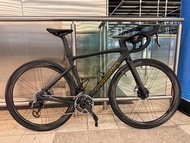 Specialized S-Works 公路車
