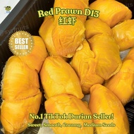 SYR | Red Prawn D13 Durian (~500g/Box)