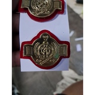 Magnetic bp3ip pin