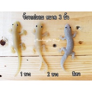 Lizards Fake For People Rubber Toys Animals Prank Cicak Mainan Cicak Mainan Getah