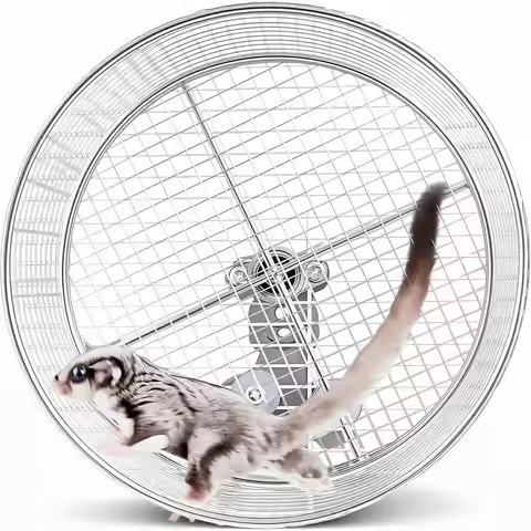 Stainless Steel Silent Hamster Wheel - 11.8" Large Exercise Wheel for Syrian Hamsters, Sugar Gliders