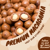 Macadamia whole nuts fresh healthy 500 g. macadamia in shell
