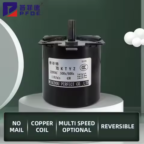 High Torque 160KG 40W AC 220V Permanent Magnet Synchronous Motor 220V 70KTYZ CW/CCW Metal Geared Slo