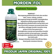 Morden-Fol Plant Supplement Nutrition Morden Fol/ 500ml