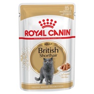 Royal Canin Wet Food 12x85g British Shorthair Adult Pouch Gravy BSH