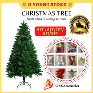 D Young Christmas Tree X'Mas Home Decoration Festival Season Year End Celebration (5ft to 9ft)