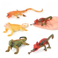 Ready Stock Collectibles Simulation Chameleon Chow Chow Chow Chow Animal Model Reptile Toys Children